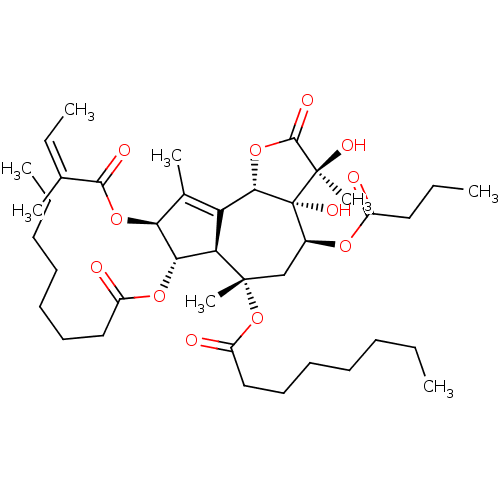 PNG