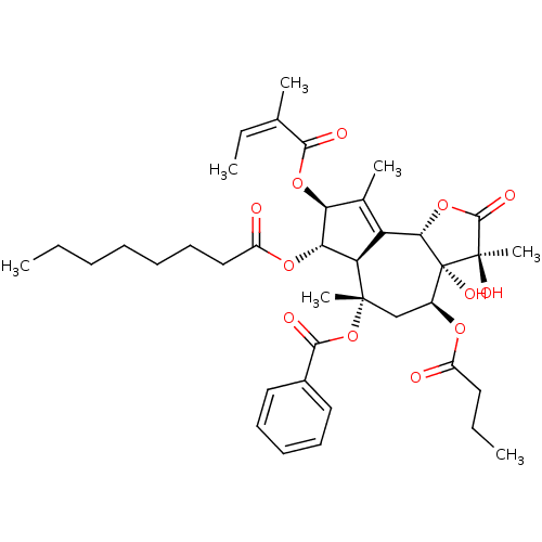 PNG