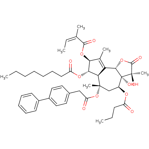 PNG