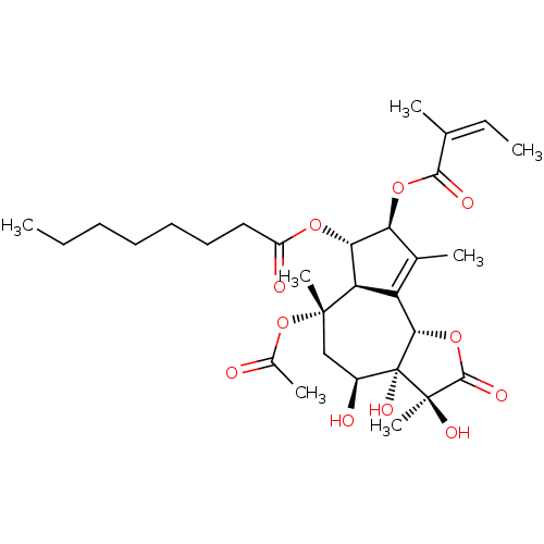 PNG