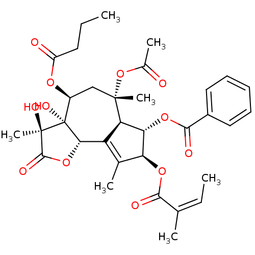 PNG