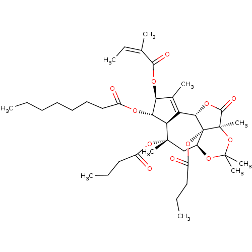 PNG