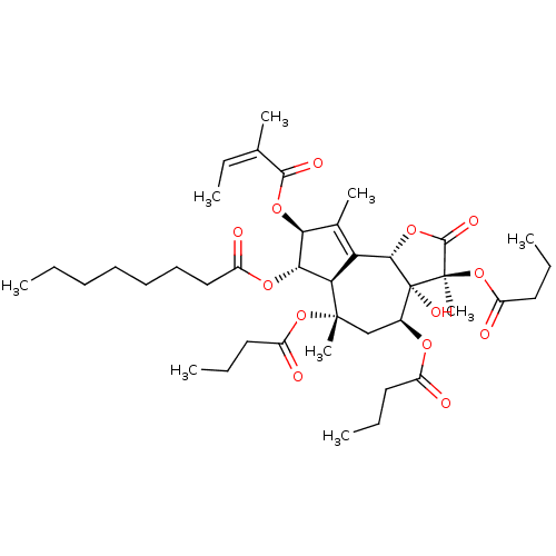 PNG