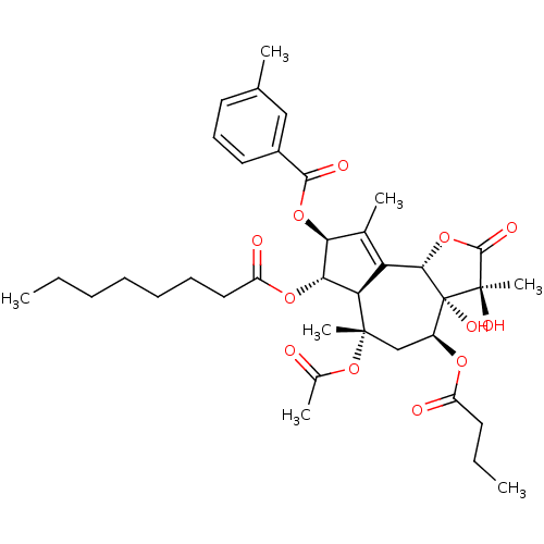 PNG