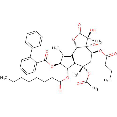 PNG