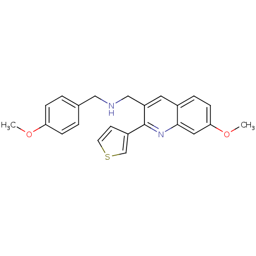 PNG