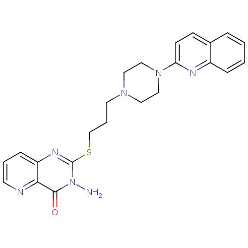 PNG