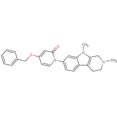 PNG