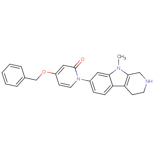 PNG