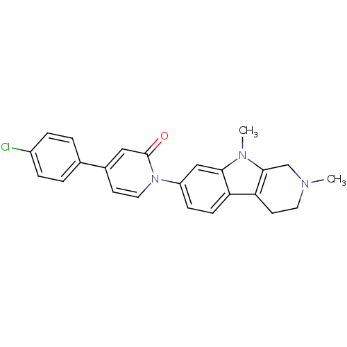 PNG