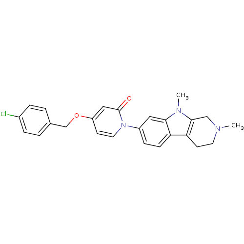 PNG