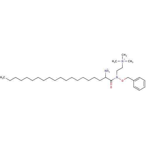 PNG