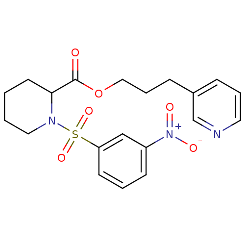 PNG