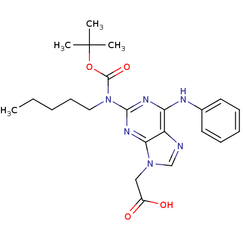 PNG
