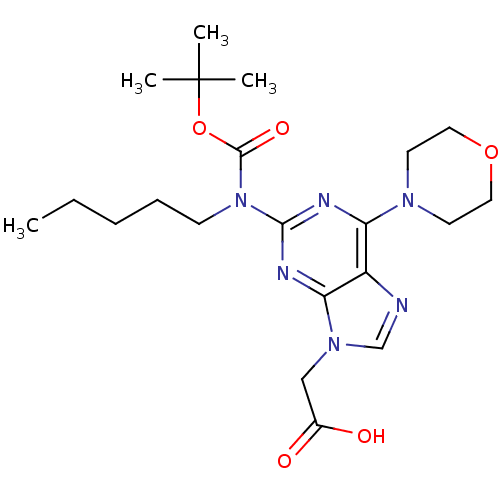 PNG