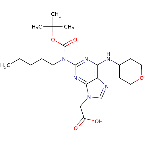 PNG