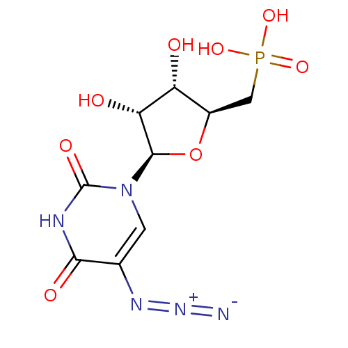 PNG
