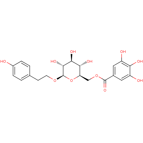 PNG