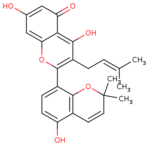 PNG