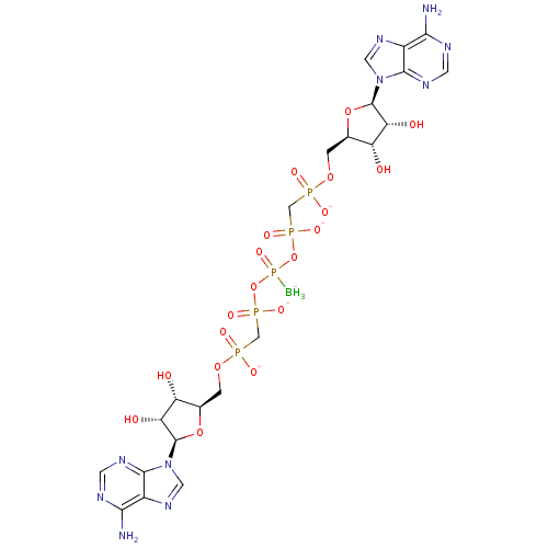 PNG