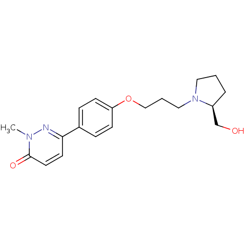 PNG
