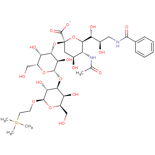 PNG