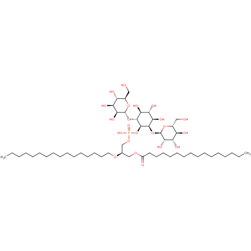 PNG