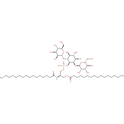 PNG