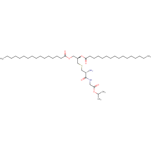PNG