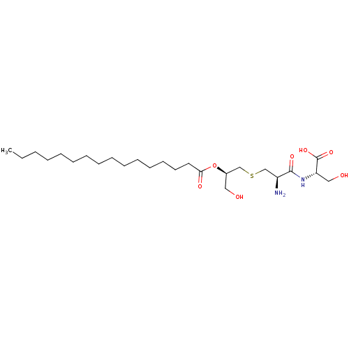 PNG