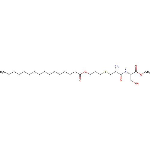 PNG
