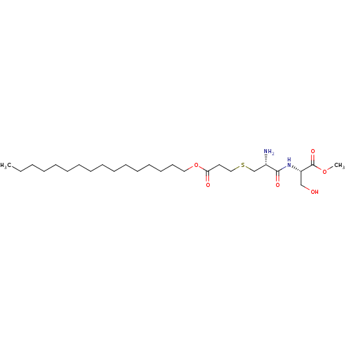 PNG