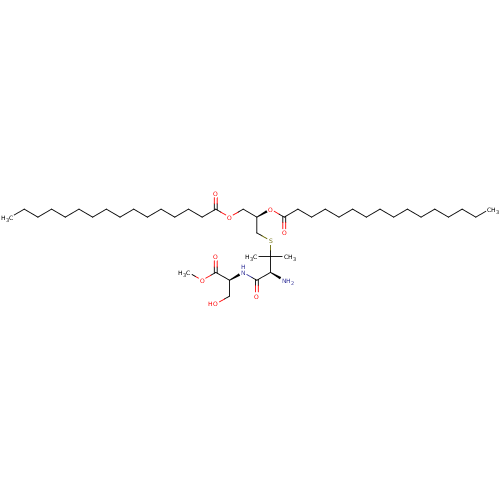 PNG