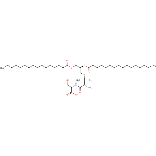 PNG