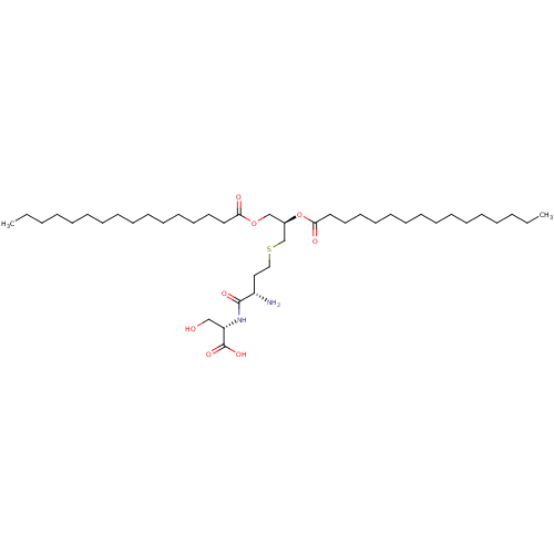PNG