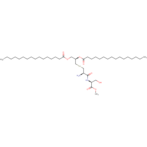 PNG