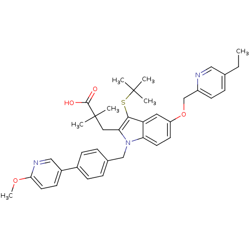 PNG