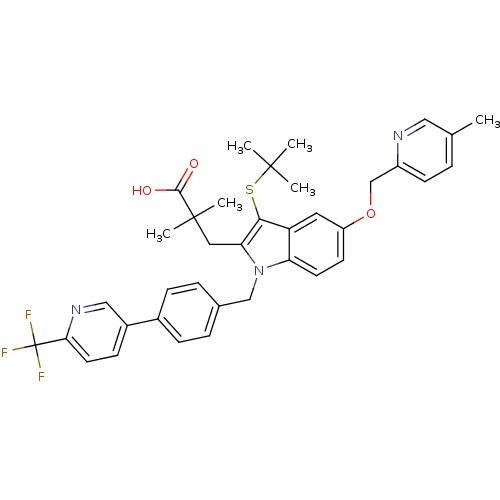 PNG