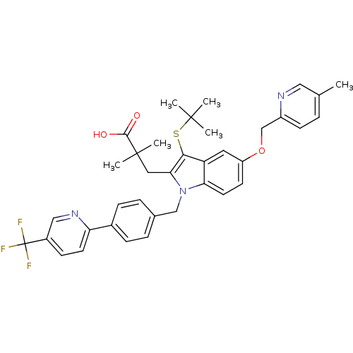 PNG