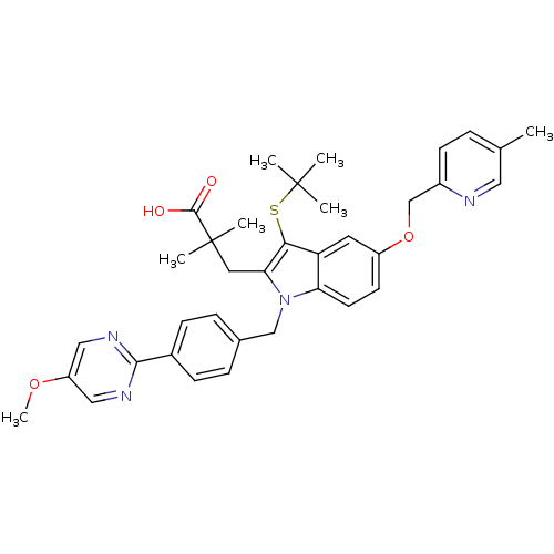 PNG