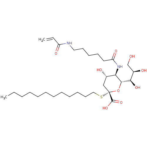 PNG