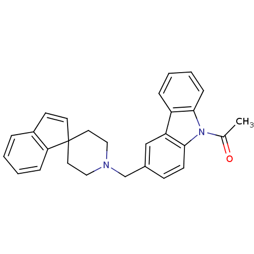 PNG