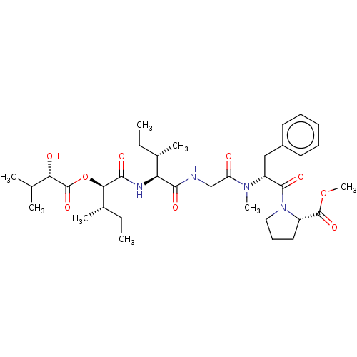 PNG