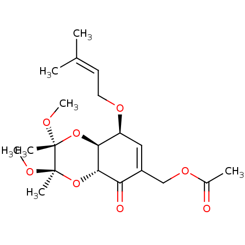 PNG