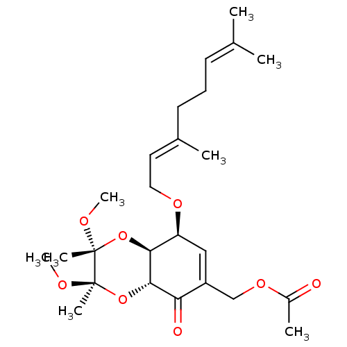 PNG