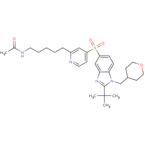 PNG