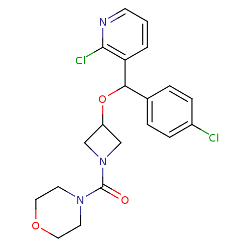 PNG