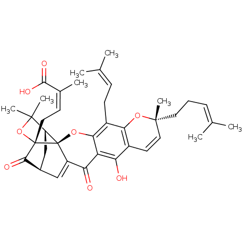 PNG