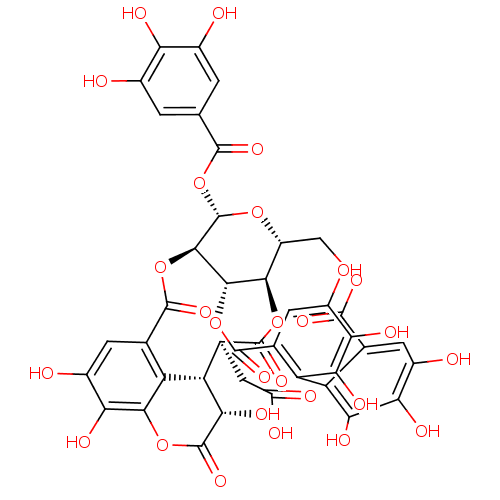 PNG