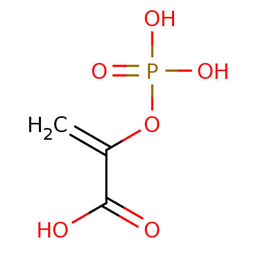 PNG